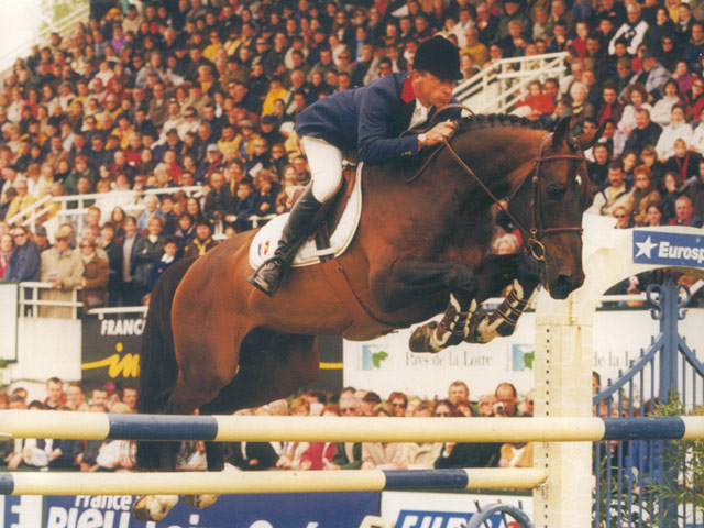 Kannan Showjumping Stallion